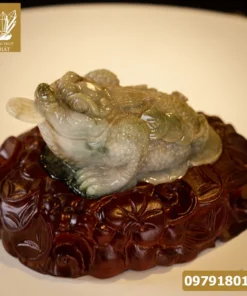 Thiềm Thừ Ngọc | Thiềm Thừ Ngọc Phỉ Thúy | Thiềm Thừ (Cóc 3 Chân, Cóc Ngậm Tiền) Ngọc Jadeit - M14591