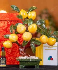 Cây Đào Đá Ngọc Hoàng Long 9 Quả 016-049DN-9
