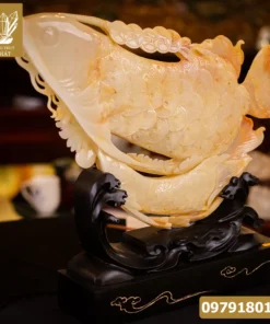 Cặp Cá Rồng Ngọc Onyx VIP1 - M22992