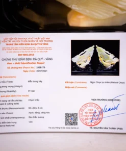 Cặp Cá Rồng Ngọc Onyx VIP - M22991