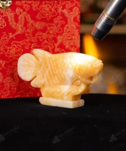 Cá Rồng Ngọc Hoàng Long - 15cm - M292704