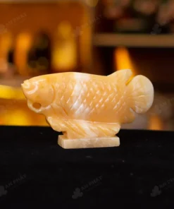 Cá Rồng Ngọc Hoàng Long - 15cm - M292704