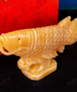 Cá Rồng Ngọc Hoàng Long - 22cm - M296008