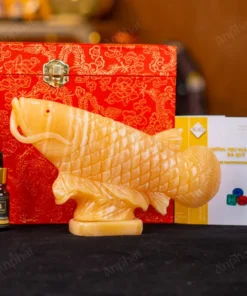 Cá Rồng Ngọc Hoàng Long - 22cm - M296008