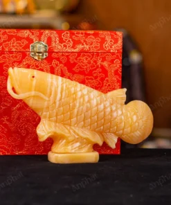 Cá Rồng Ngọc Hoàng Long - 22cm - M296008