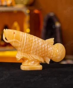 Cá Rồng Ngọc Hoàng Long - 22cm - M296008