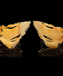 Cặp Cá Rồng Ngọc Onyx VIP1 - M22992