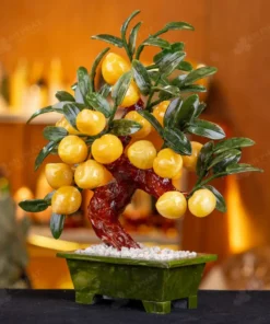 Cây Đào Đá Ngọc Hoàng Long 18 Quả - M2939288