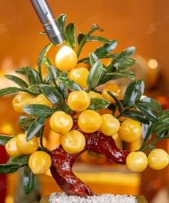 Cây Đào Đá Ngọc Hoàng Long 18 Quả - M2939288