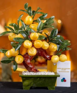 Cây Đào Đá Ngọc Hoàng Long 18 Quả - M2939288