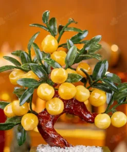 Cây Đào Đá Ngọc Hoàng Long 18 Quả - M2939288