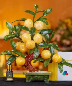 Cây Đào Đá Ngọc Hoàng Long 12 Quả 016-049DN-12