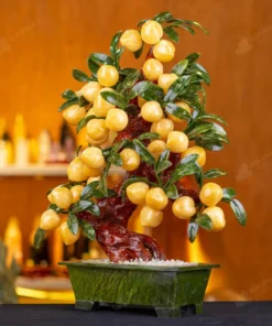 Cây Đào Đá Ngọc Hoàng Long 38 Quả 016-049DN-38