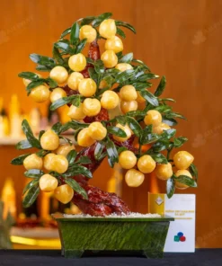 Cây Đào Đá Ngọc Hoàng Long 38 Quả 016-049DN-38