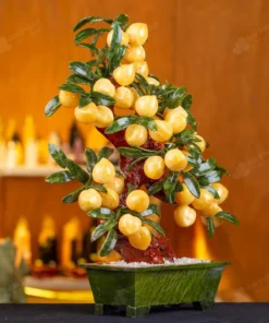 Cây Đào Đá Ngọc Hoàng Long 38 Quả 016-049DN-38