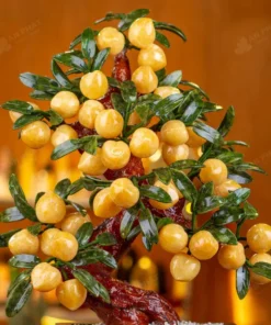 Cây Đào Đá Ngọc Hoàng Long 38 Quả 016-049DN-38