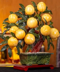 Cây Đào Đá Ngọc Hoàng Long 3A 12 Quả 016-0493A-12