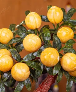 Cây Đào Đá Ngọc Hoàng Long 3A 12 Quả 016-0493A-12