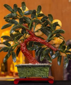 Cây Đào Đá Ngọc Hoàng Long 3A 12 Quả 016-0493A-12