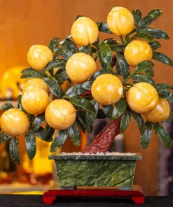 Cây Đào Đá Ngọc Hoàng Long 3A 12 Quả 016-0493A-12