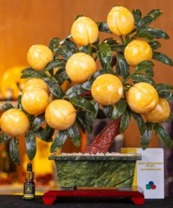 Cây Đào Đá Ngọc Hoàng Long 3A 12 Quả 016-0493A-12