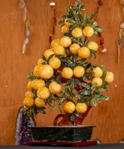 Cây Đào Đá Ngọc Hoàng Long 3A 38 Quả 016-0493A-38