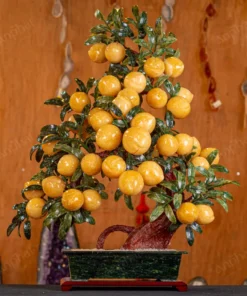 Cây Đào Đá Ngọc Hoàng Long 3A 38 Quả 016-0493A-38