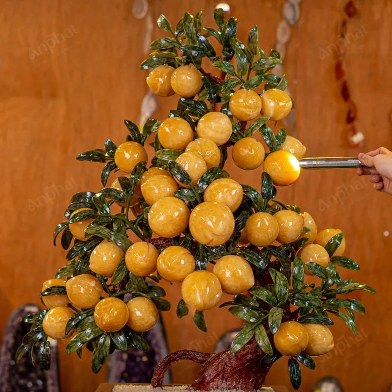 Cây Đào Đá Ngọc Hoàng Long 3A 38 Quả 016-0493A-38