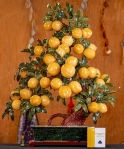 Cây Đào Đá Ngọc Hoàng Long 3A 38 Quả 016-0493A-38