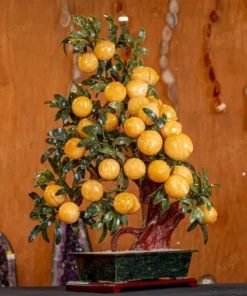 Cây Đào Đá Ngọc Hoàng Long 3A 38 Quả 016-0493A-38