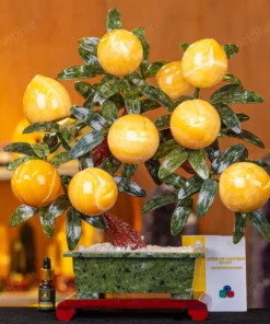 Cây Đào Đá Ngọc Hoàng Long 3A 9 Quả 016-0493A-9