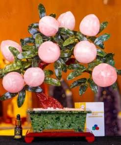 Cây Đào Đá Thạch Anh Hồng 3A 9 Quả 016-0763A-9