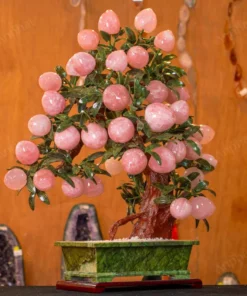 Cây Đào Đá Thạch Anh Hồng 3A 38 Quả 016-0763A-38