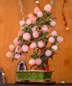 Cây Đào Đá Thạch Anh Hồng 3A 38 Quả 016-0763A-38