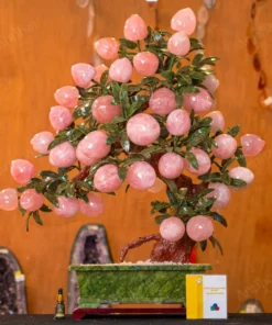 Cây Đào Đá Thạch Anh Hồng 3A 38 Quả 016-0763A-38