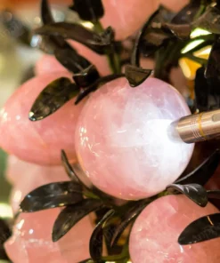 Cây Đào Đá Thạch Anh Hồng 3A 88 Quả 016-0763A-88