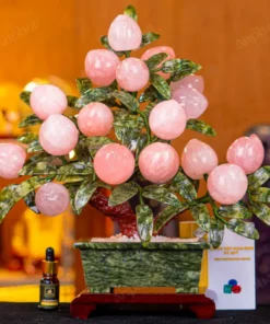 Cây Đào Đá Thạch Anh Hồng 3B 18 Quả 016-0763B-18