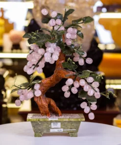 Cây Nho Đá Thạch Anh Hồng - 50cm - M10010