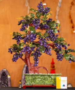 Cây Nho Đá Thạch Anh Tím - 80cm - M29532026