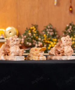 Combo Tỳ Hưu - Thiềm Thừ Canxit Vàng - M287288