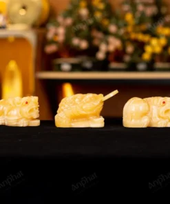 Combo Tỳ Hưu - Thiềm Thừ Ngọc Hoàng Long - M2852531