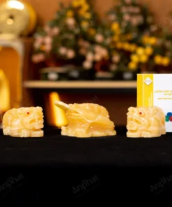 Combo Tỳ Hưu - Thiềm Thừ Ngọc Hoàng Long - M2852531