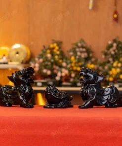 Combo Tỳ Hưu - Thiềm Thừ Obsidian Đen - M273137