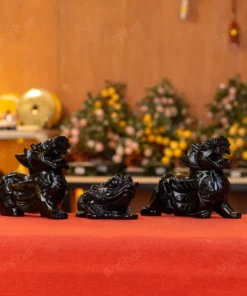 Combo Tỳ Hưu - Thiềm Thừ Obsidian Đen - M273137