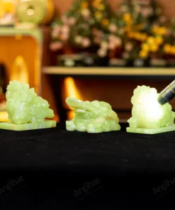 Combo Tỳ Hưu - Thiềm Thừ Onyx Xanh - M253253