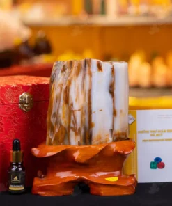 Đá Cảnh Gỗ Hóa Thạch - 1,8kg - M249218