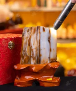 Đá Cảnh Gỗ Hóa Thạch - 1,8kg - M249218