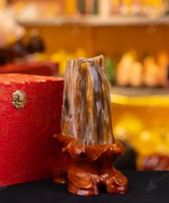 Đá Cảnh Gỗ Hóa Thạch - 1,8kg - M249218