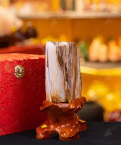 Đá Cảnh Gỗ Hóa Thạch - 1,8kg - M249218