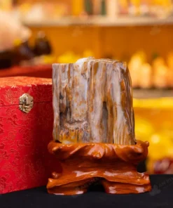 Đá Cảnh Gỗ Hóa Thạch - 1,8kg - M249218